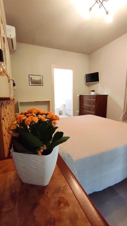 Gli Ulivi Rooms Lucca Eksteriør billede